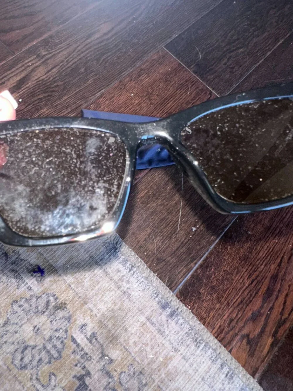 Le Specs make bold